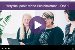 Yrityskaupasta virtaa liiketoimintaan - Osa1